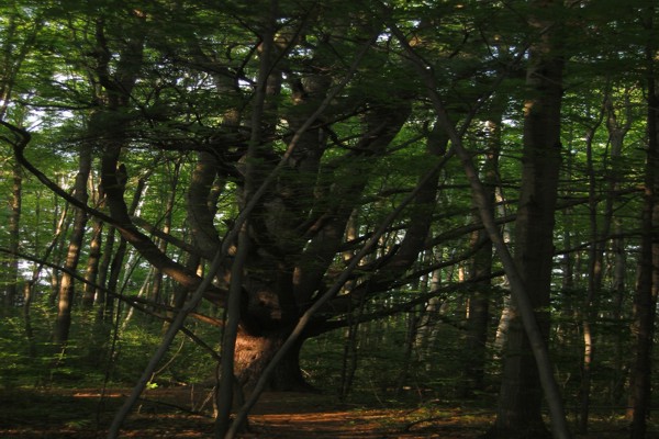 ../image/joan's reunion,nj,vermont 9,2005 092.jpg